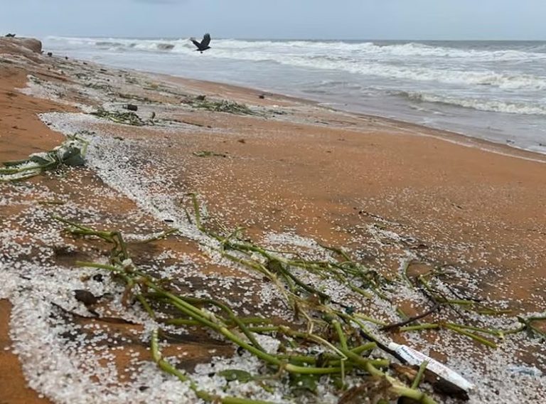 downtoearth_2025-05-28_qzk1f7pn_Nurdles