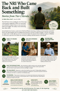 The NRI Who Came Back and Built Something: Stories from Tier-2 Kerala