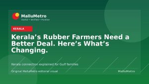 Kerala's Rubber Farmers Need a Better Deal. Here's What's Changing.